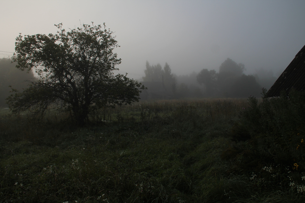 Домик в деревне. Туман. Фото Автора.