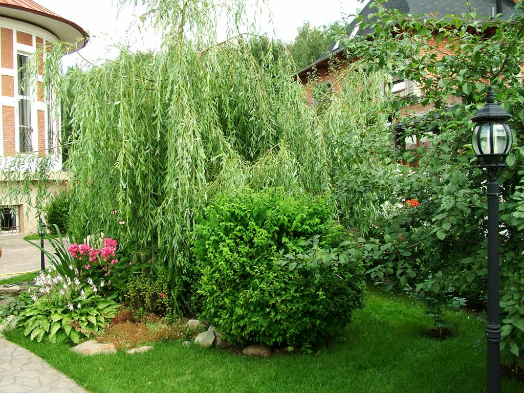 Источник: vasha-teplitsa.ru