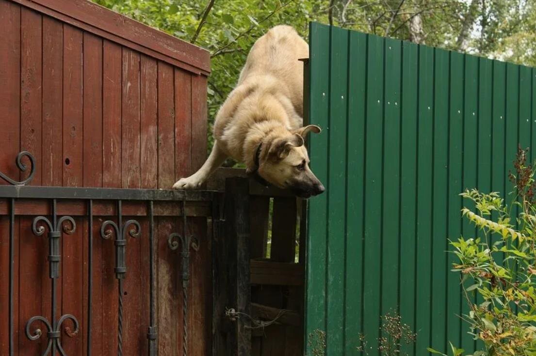 Быстро оглядевшись по сторонам в надежде увидеть помощь, она лишь увидела пустые улицы.
