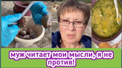 Download Video: Сварила для мужа старинный русский суп с огурцами, добралась до свёклы и отрезала ей попки, муж читает мои мысли!