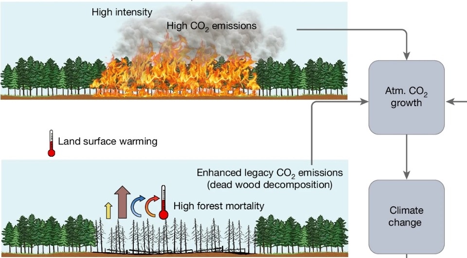   Jie Zhao et al. / Nature, 2024