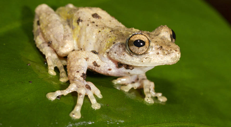   Evan Pickett / Wikimedia Commons / CC BY-SA 4.0