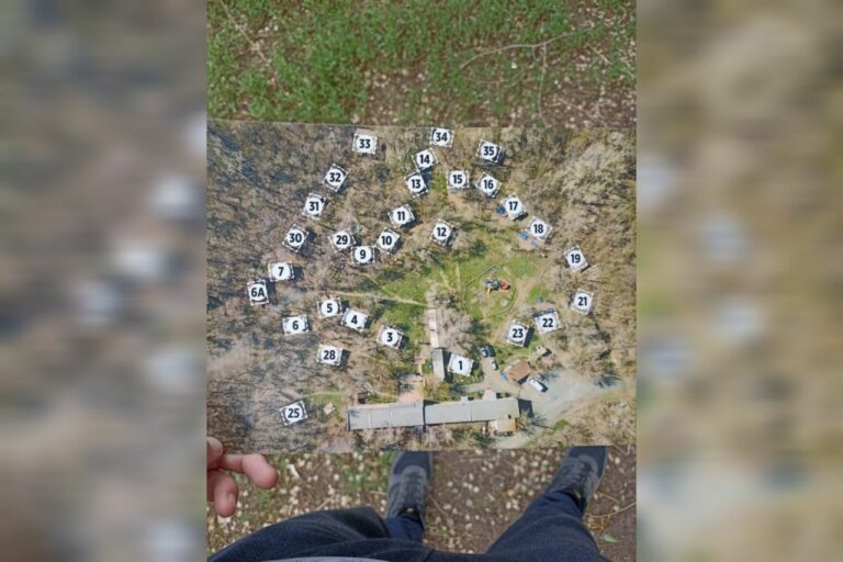    Похитил более 146 млн рублей у пайщиков. В Оренбурге будут судить руководителя кооперативов Кристина Просвиркина