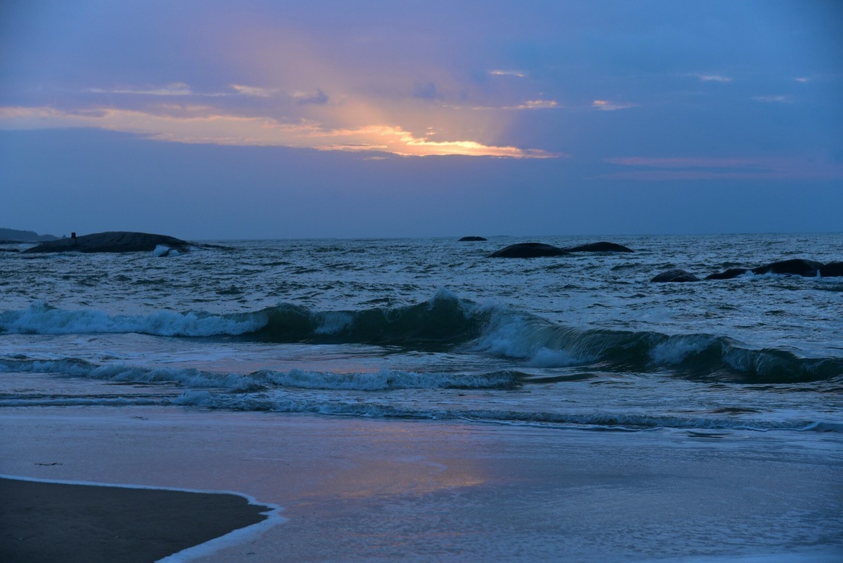 The spaceport is located away from the beach, so it does not damage the coastal ecosystem. Photo: DDDanny D / Unsplash