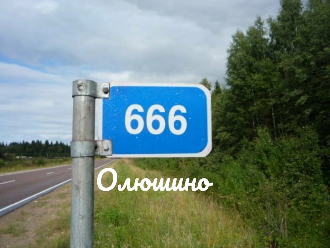 Фото из интернета.