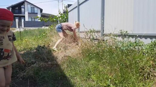 Video herunterladen: 80🦋Едем в Новороссийск за пропиской. Комбо из сорняков на участке