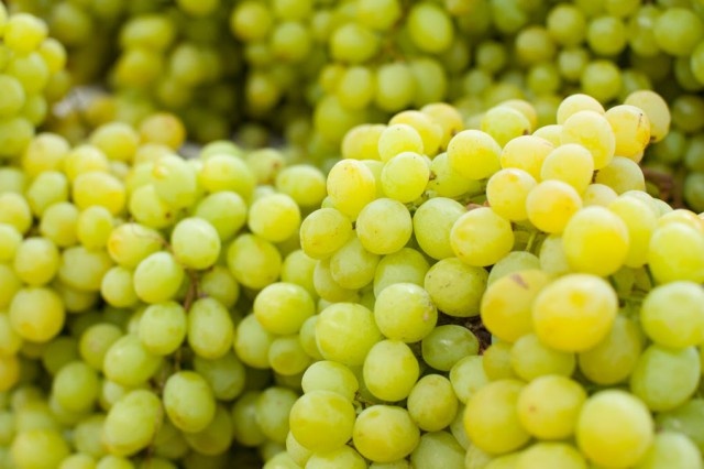   Фото из архива Калининград.Ru