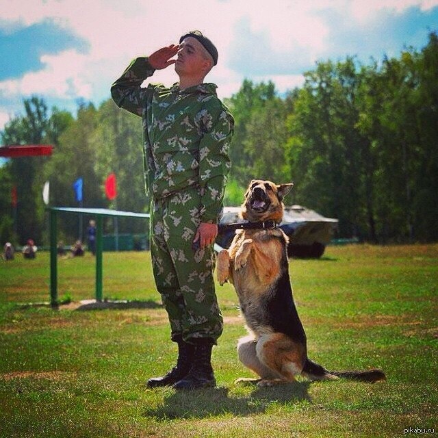 Отчёт о тренировке. (Фото из сети Интернет)