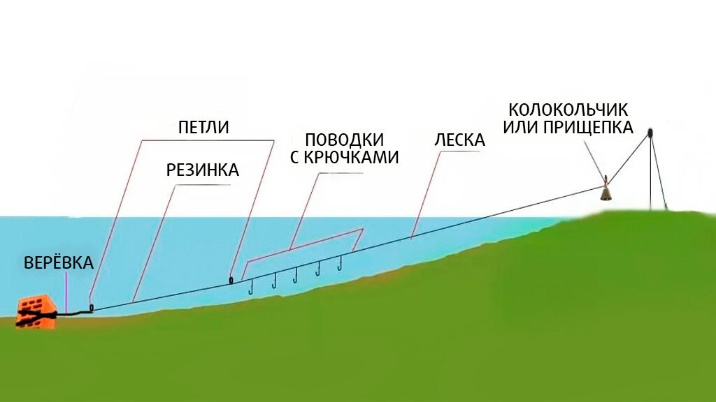 Фото с сайта: https://avatars.dzeninfra.ru