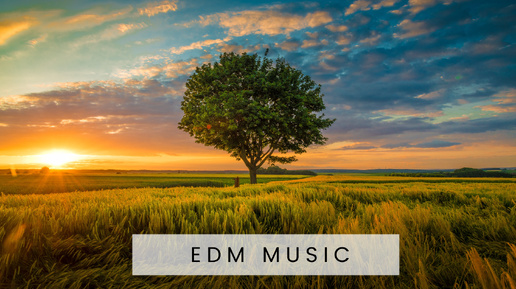 EDM Music 5 | Energetic edm electronic | Электронная музыка | Электронный микс | Лучшая музыка 2024