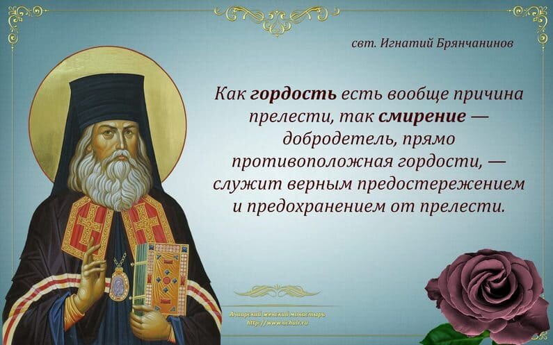 фото из открытого источника Яндекс. Картинки.