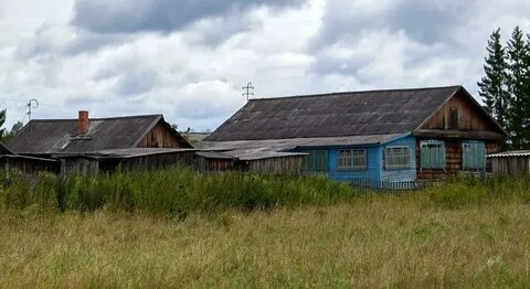    Ученые из Новосибирска исследовали чердачную пыль