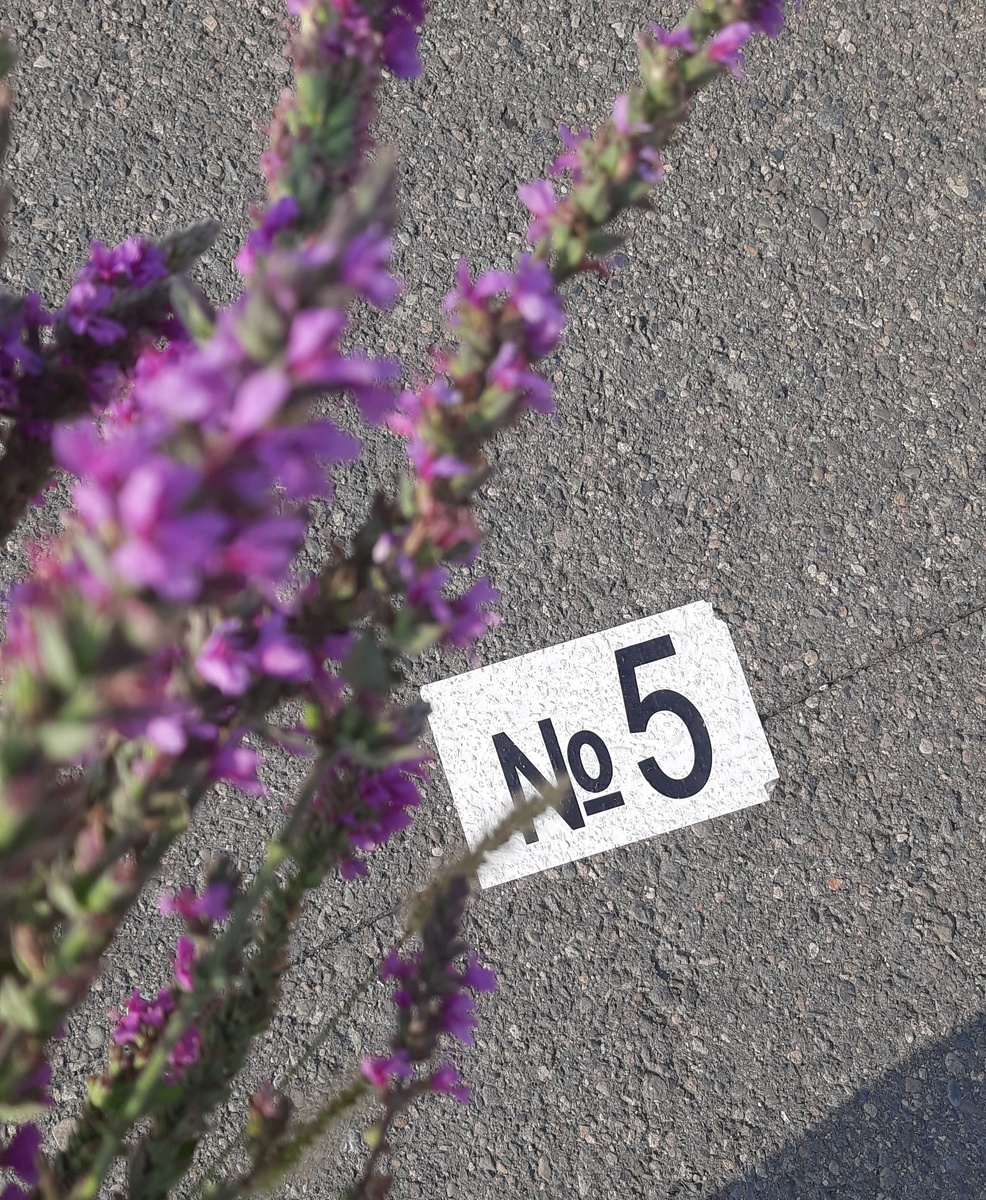 Все привыкли. Никто не спешит