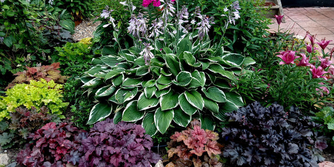 Почему мой сад не будет естественным, и кому все время есть до этого дело