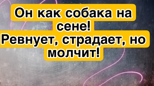 Что соперница сделала с ним? Он изменился до неузнаваемости! Его мысли о Вас, его чувства к Вам, его действия в отношении Вас!