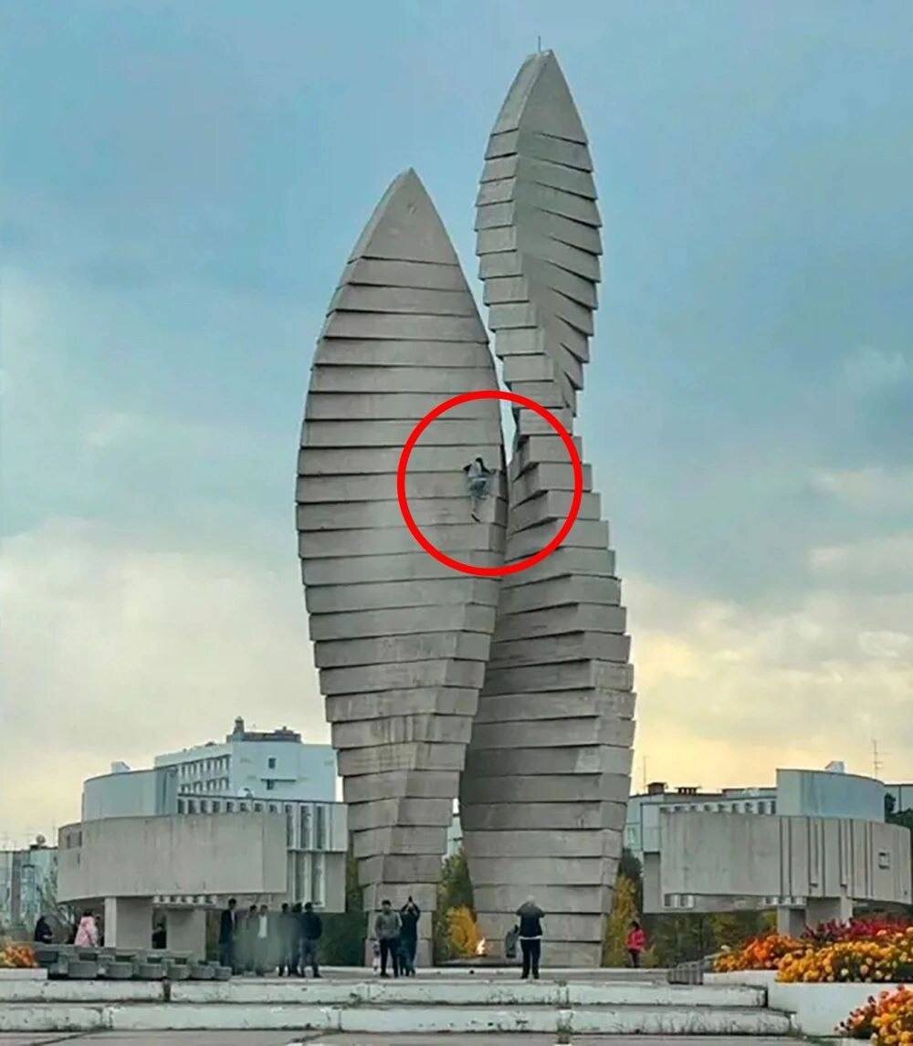 Фото из открытого доступа