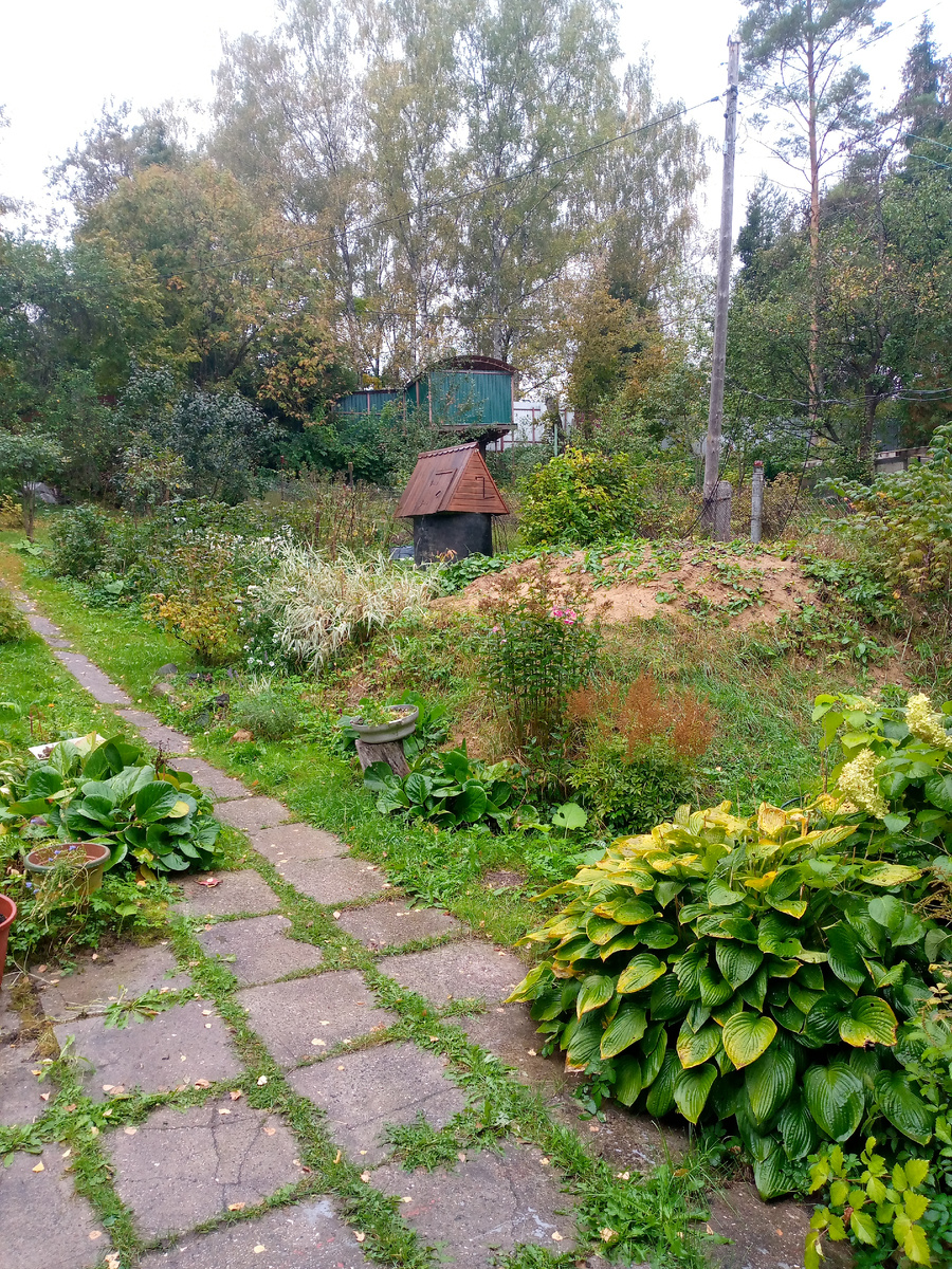 Нарисовывается осень 