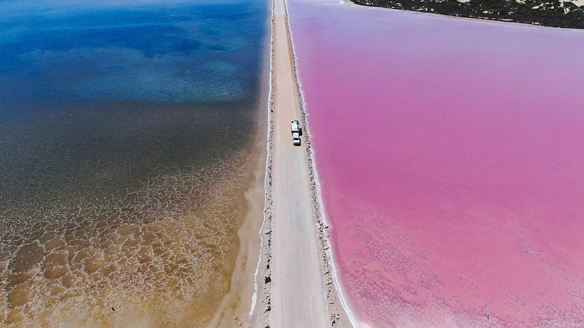 Озеро Макдоннел в Австралии.  
https://www.behance.net/gallery/72873173/Lake-MacDonnell?locale=en_US