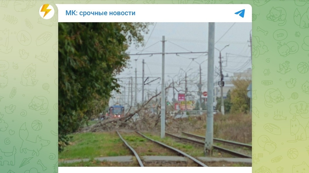    Телеграм-канал «МК: срочные новости»