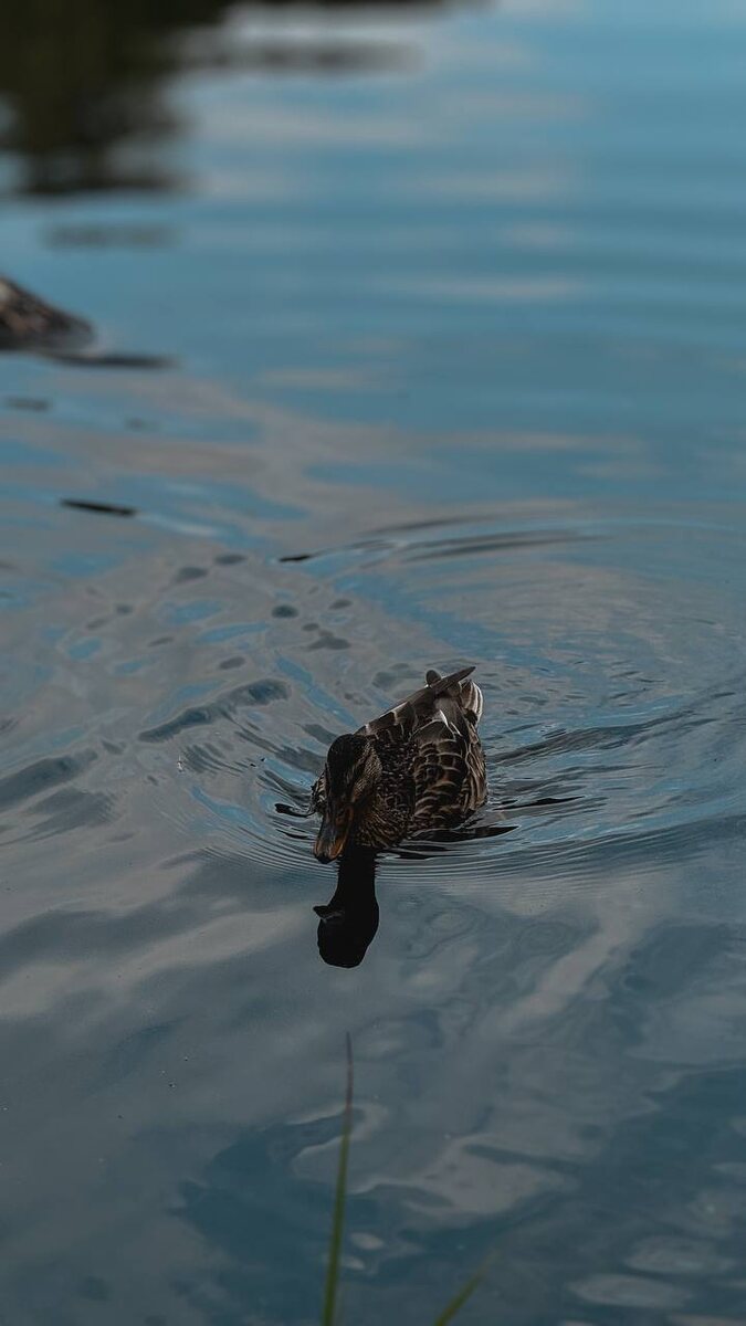 Озеро Глазок