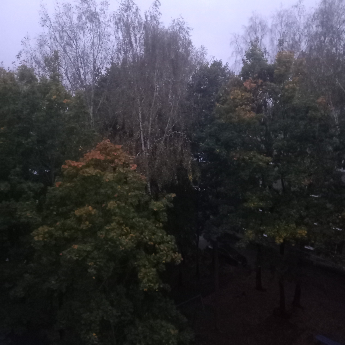 Фото автора канала