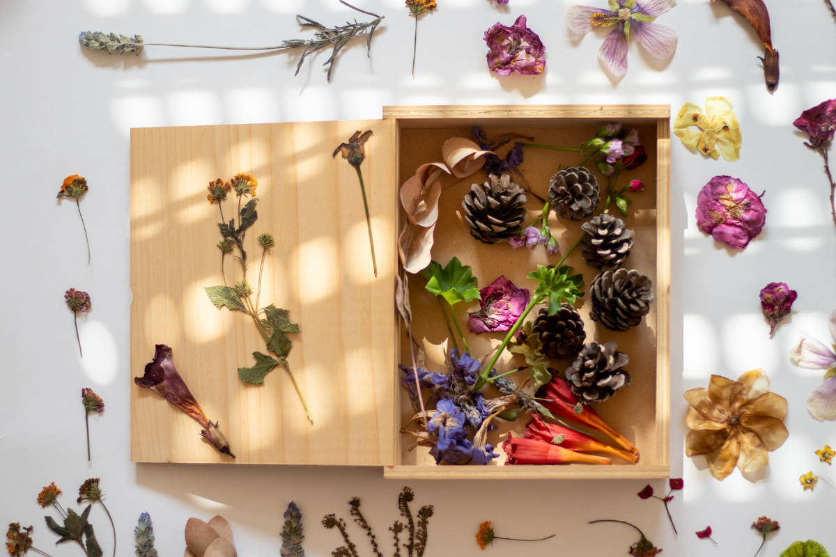 Деревянная коробка для чая