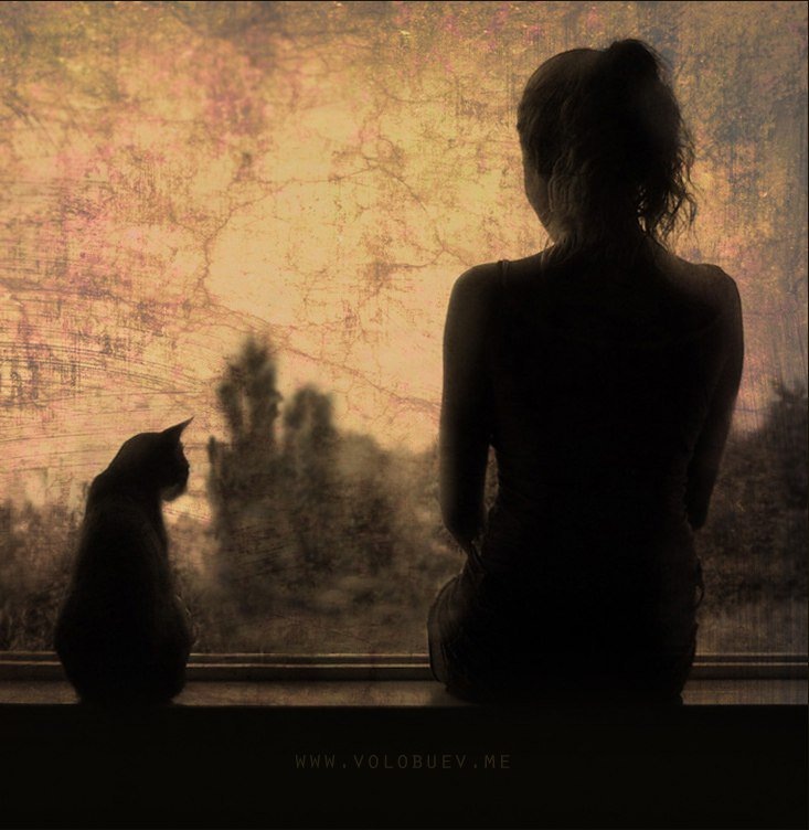 Яндекс картинки