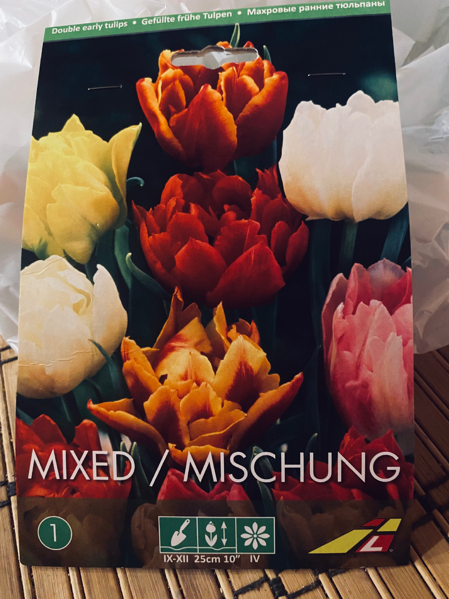 Вот эти тюльпаны посажу, где как раз у меня растут махровые ранние тюльпаны. Везде фото автора.