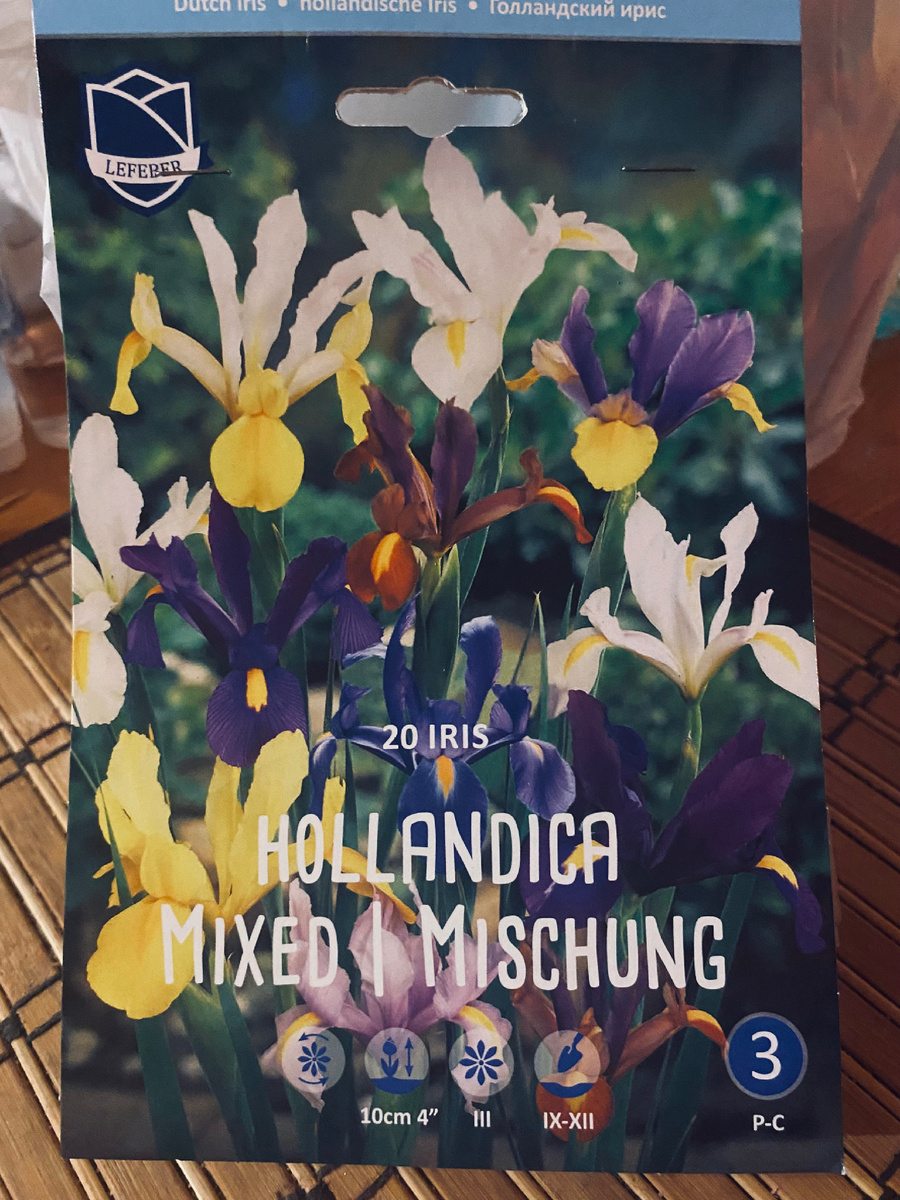Вот они какие голландские ирисы!