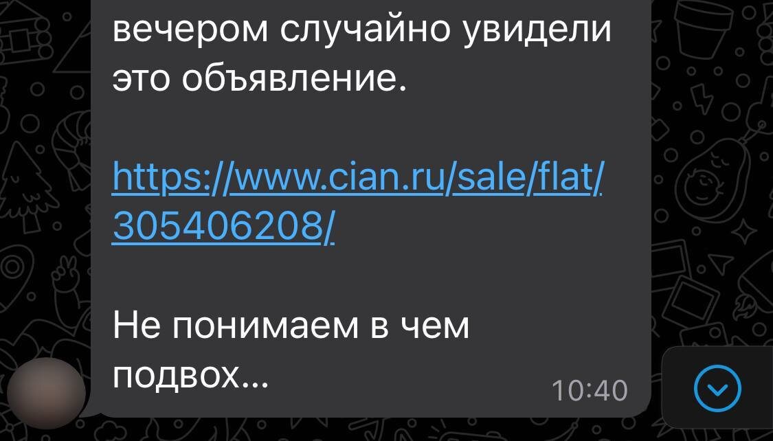 Не боялись задавать любые вопросы.