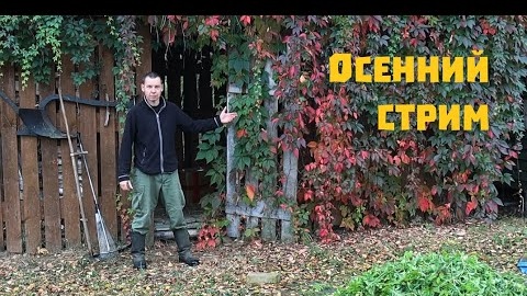 Télécharger la video: Осенний стрим Деревенского блокнота