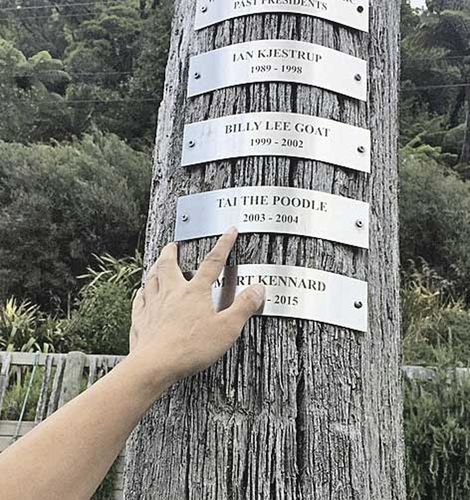    Имена президентов указаны на табличках. Фото: Соцсети