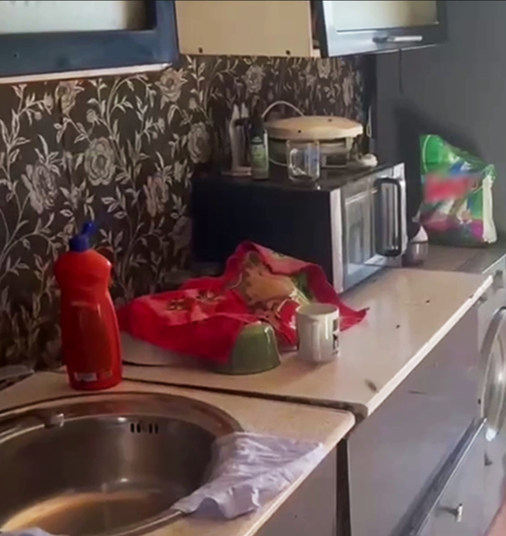  Фото : Прокуратура Красноярского края/Telegram