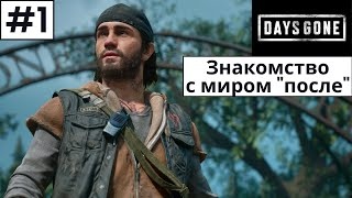 Days Gone (Жизнь После) ➤ Прохождение #1 ➤ Мир после