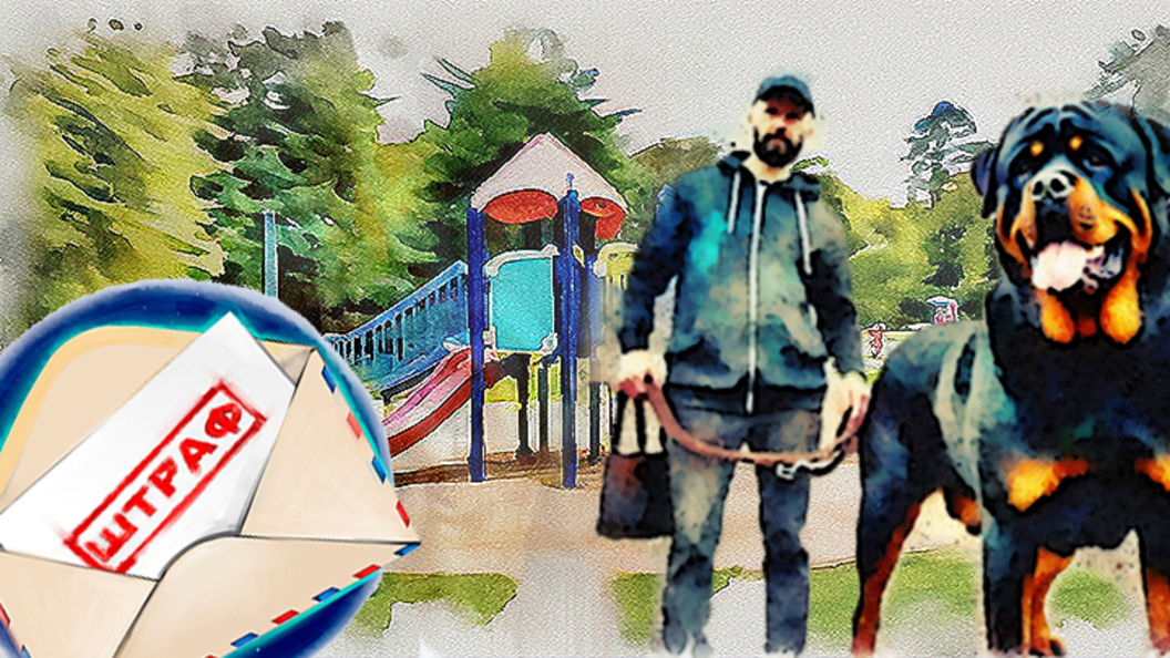    Фото: Shutterstock.com/Коллаж Царьграда