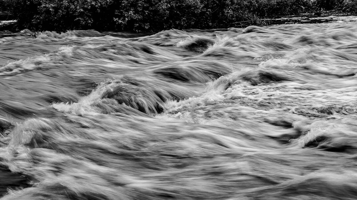    Фото: Unsplash