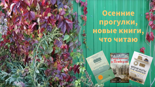 Осенняя прогулка, новые книги, чтение в процессе