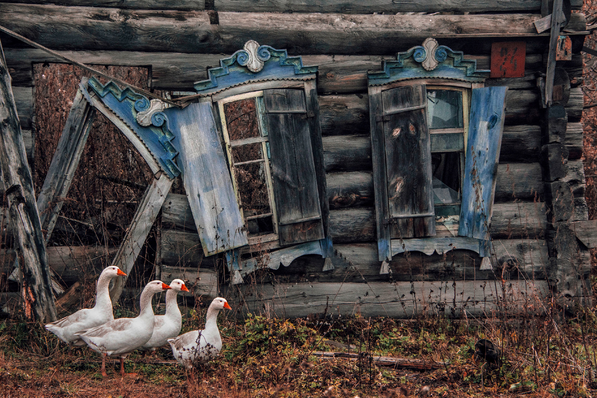 Деревня Новониколаевка, кемеровская область