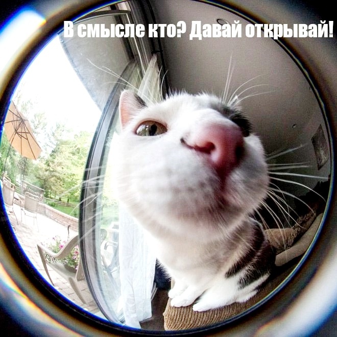 Фото из интернета