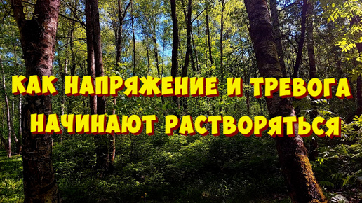 Пусть пение птиц наполняет твою душу радостью и покоем.