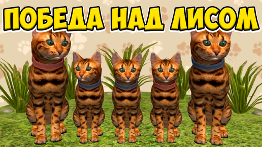 😻Симулятор КОТА и КОШКИ🐾Победила ЛИСУ cat sim (кат сим)