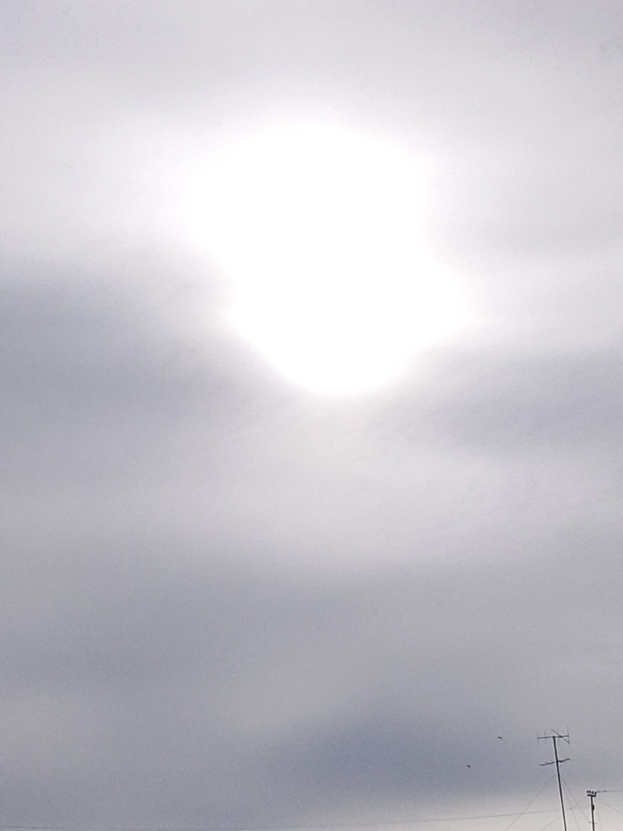 Источник: личное фото:"пасмурно, но солнышко так и хочет светить"