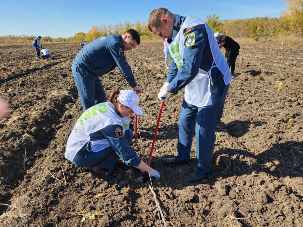     В Оренбуржье высадили около 14 тысяч саженцев ясеня Оренбуржье
📷    В Оренбуржье высадили около 14 тысяч саженцев ясеня Оренбуржье
📷    В Оренбуржье высадили около 14 тысяч саженцев ясеня Оренбуржье
📷    В Оренбуржье высадили около 14 тысяч саженцев ясеня Оренбуржье
