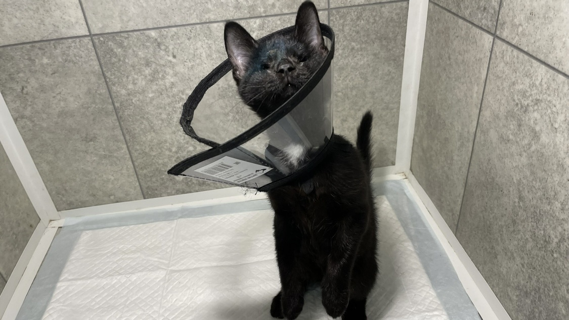 Гриша любит играть!