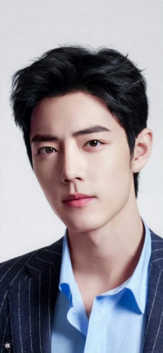 Сяо Чжань 肖战