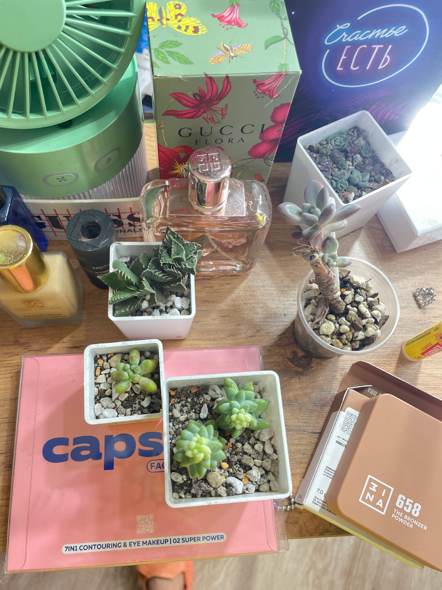 В любой непонятной ситуации можно взять с собой суккуленты поставить рядом, когда кушаешь, делаешь макияж, пишешь статью и тд