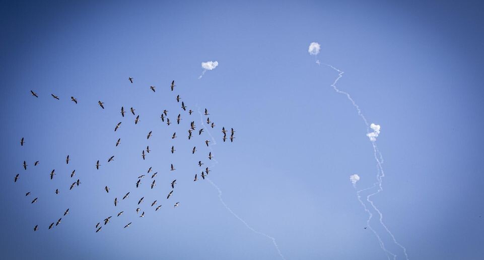    Eyal Warshavsky / Global Look Press