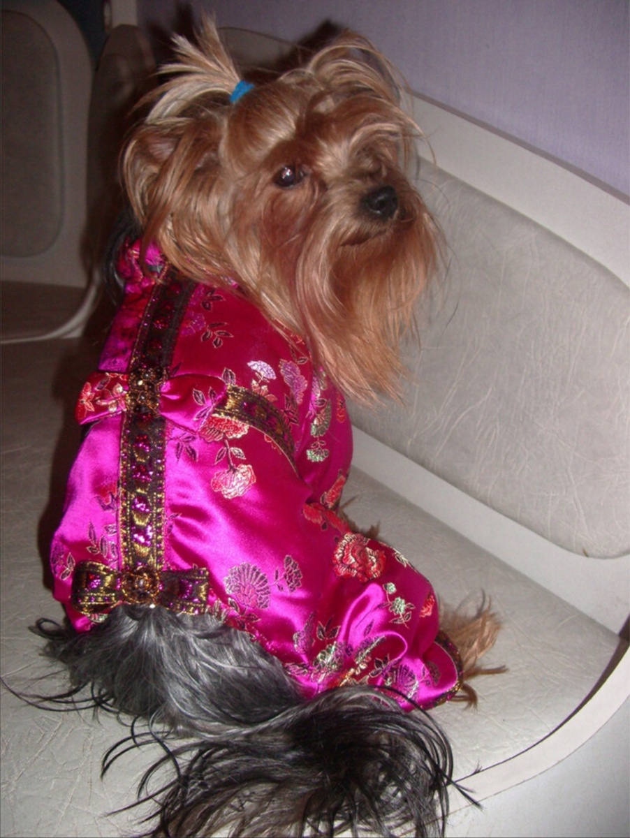 Это одна из моих самых первых моделей  2006 года: шелковый комбинезон. Собачка Эмма, питомец модели Натальи. Несмотря на экзотическую ткань, комбинезон был очень удобным . Потому, что я сама со скрупулёзной точностью разрабатывала все лекала.