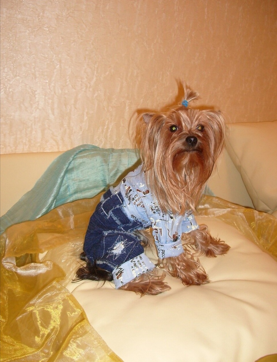 Это тоже Эмма в комбинезоне для мальчика) . Он был невероятно удобный в носке.Год 2006. Хозяйке так понравилась модель, что она надела его на свою собаку. 