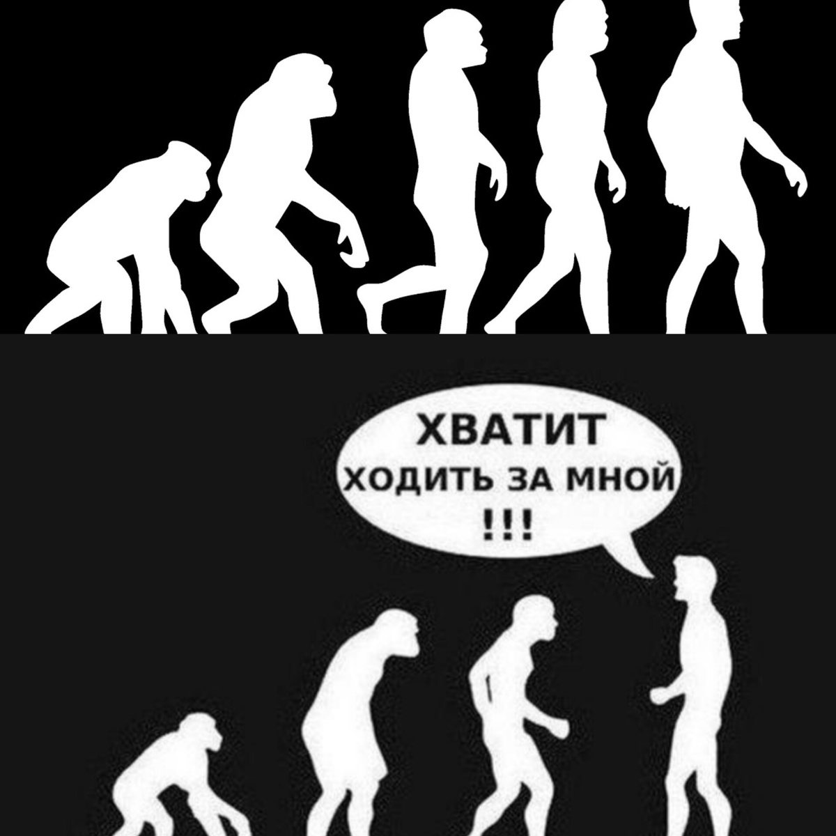 Коллаж автора из фото в свободном доступе 